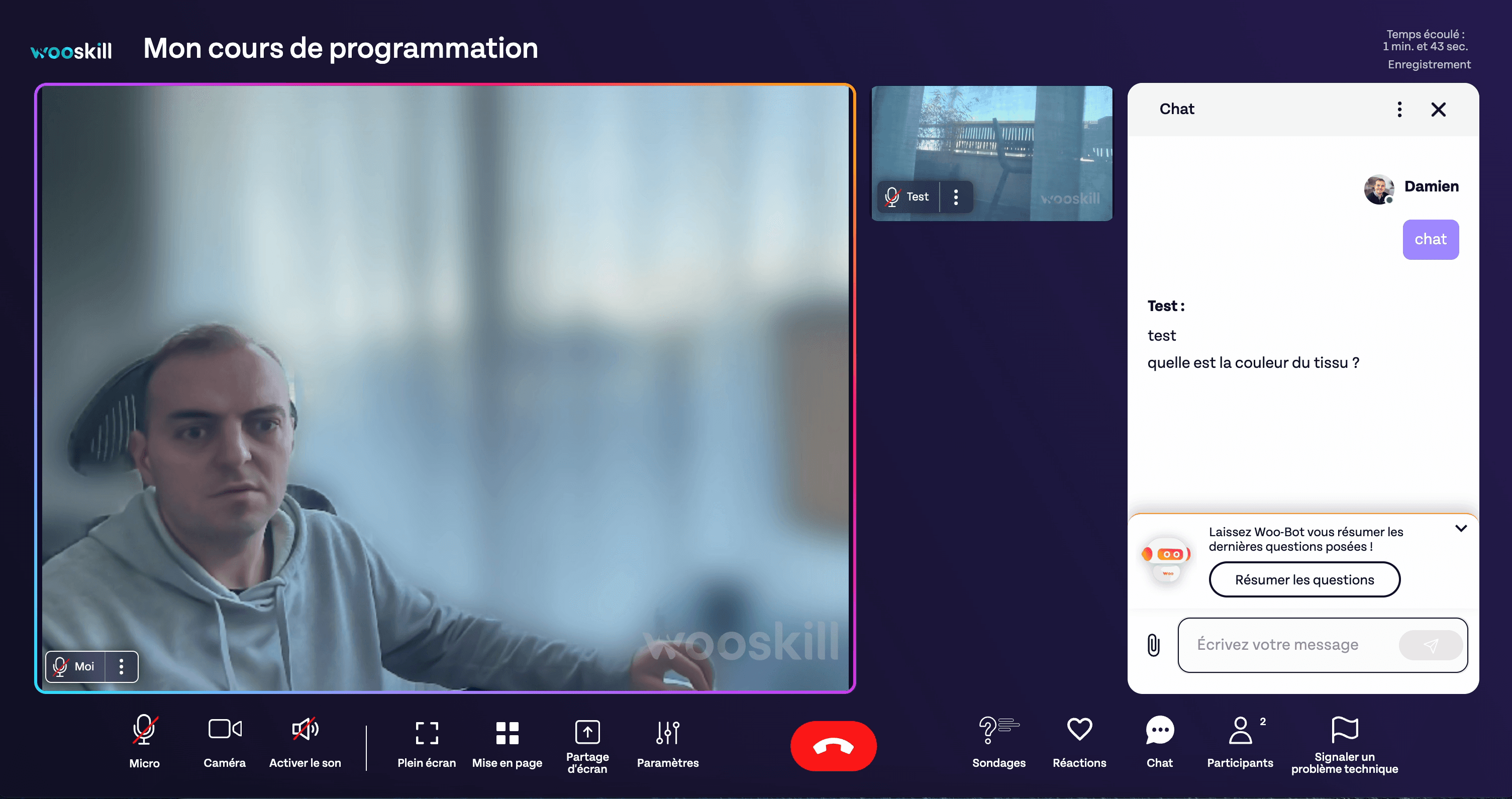 Interface montrant le floutage de l'arrière plan, une autre personne connecté et un extrait du chat